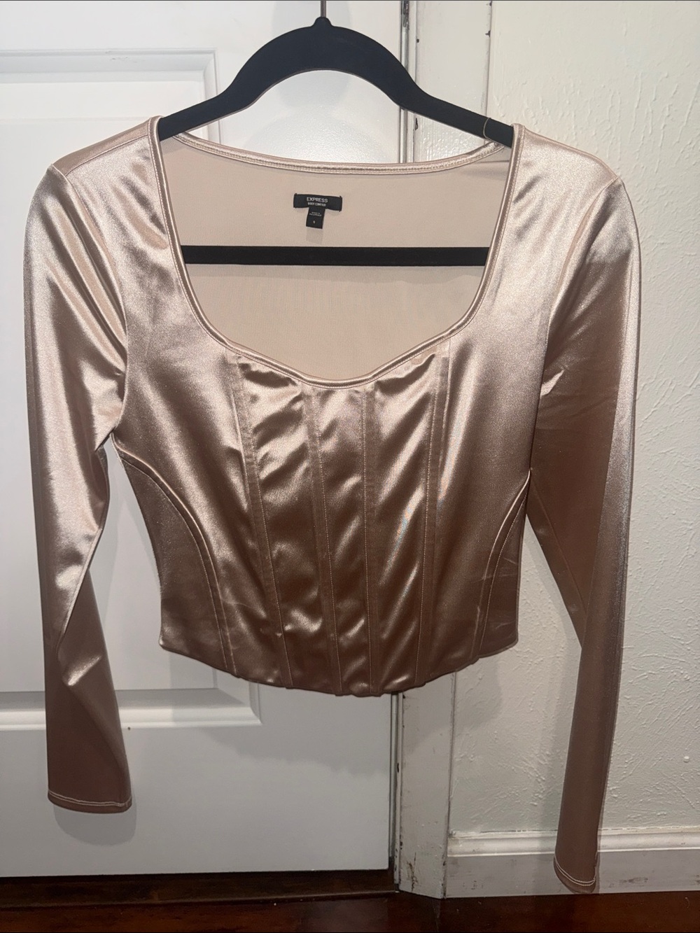 Express Metallic Rose Satin Long-Sleeve Corset Top